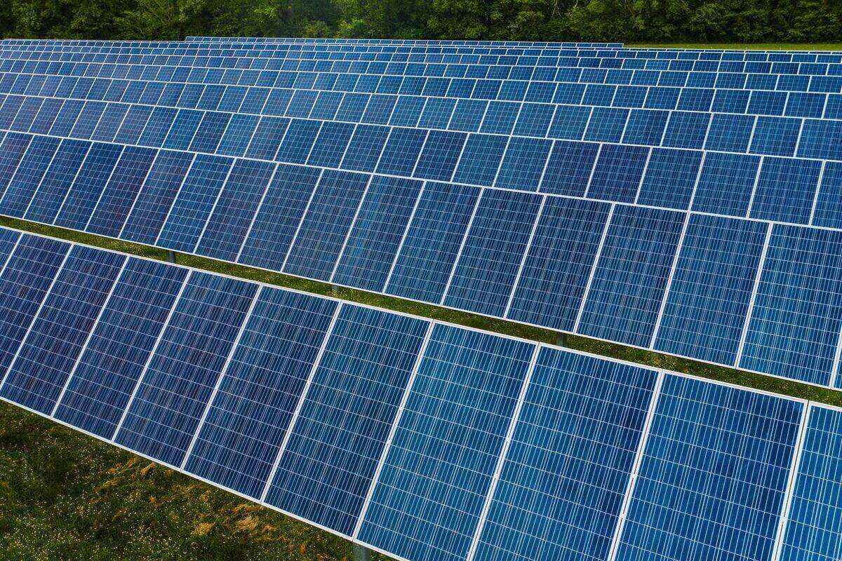 Solar panels in a field
